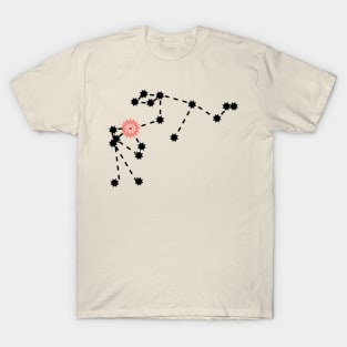 Shatabhisha Nakshatra Hindu Vedic Sidereal Astrology Constellation T-Shirt